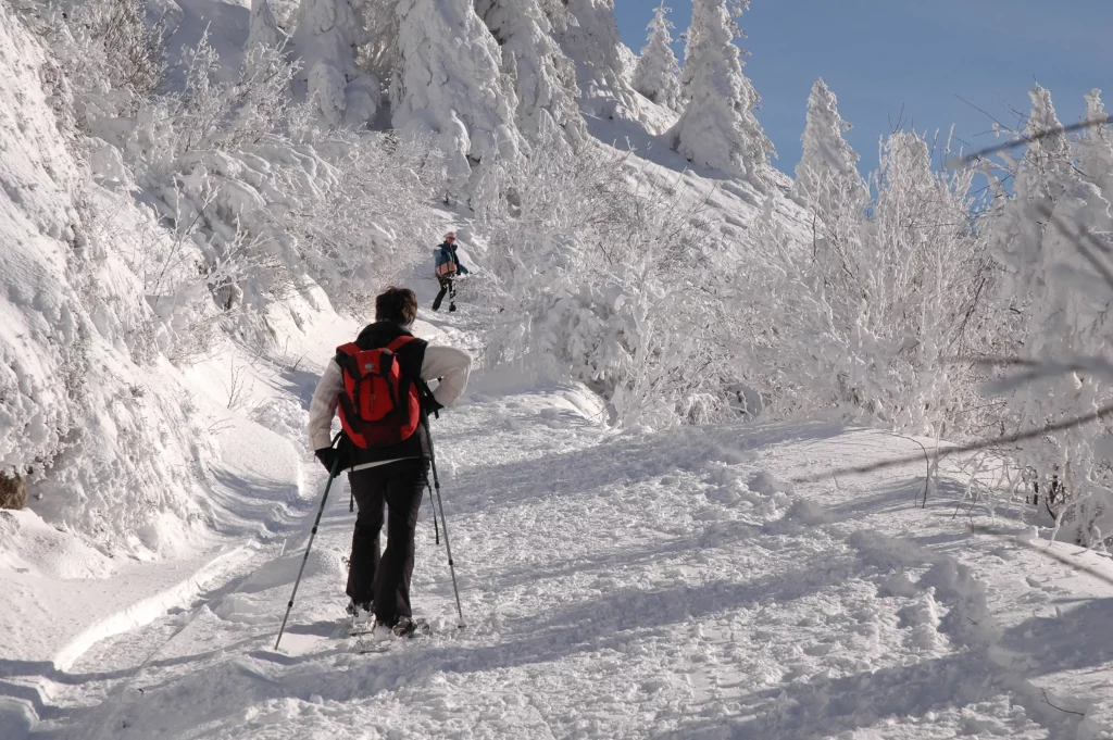 Hikers trekking up snowy mountain trail