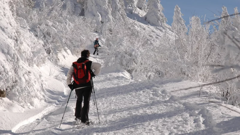 Hikers trekking up snowy mountain trail