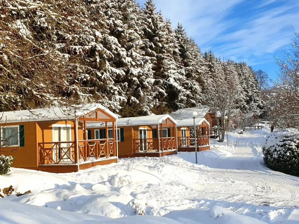 Snow-covered cabins in winter forest landscape