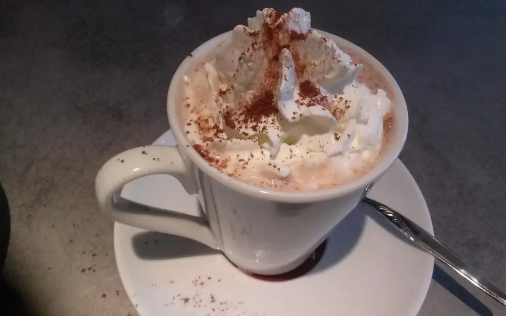 Hot chocolate with whipped cream and cocoa powder