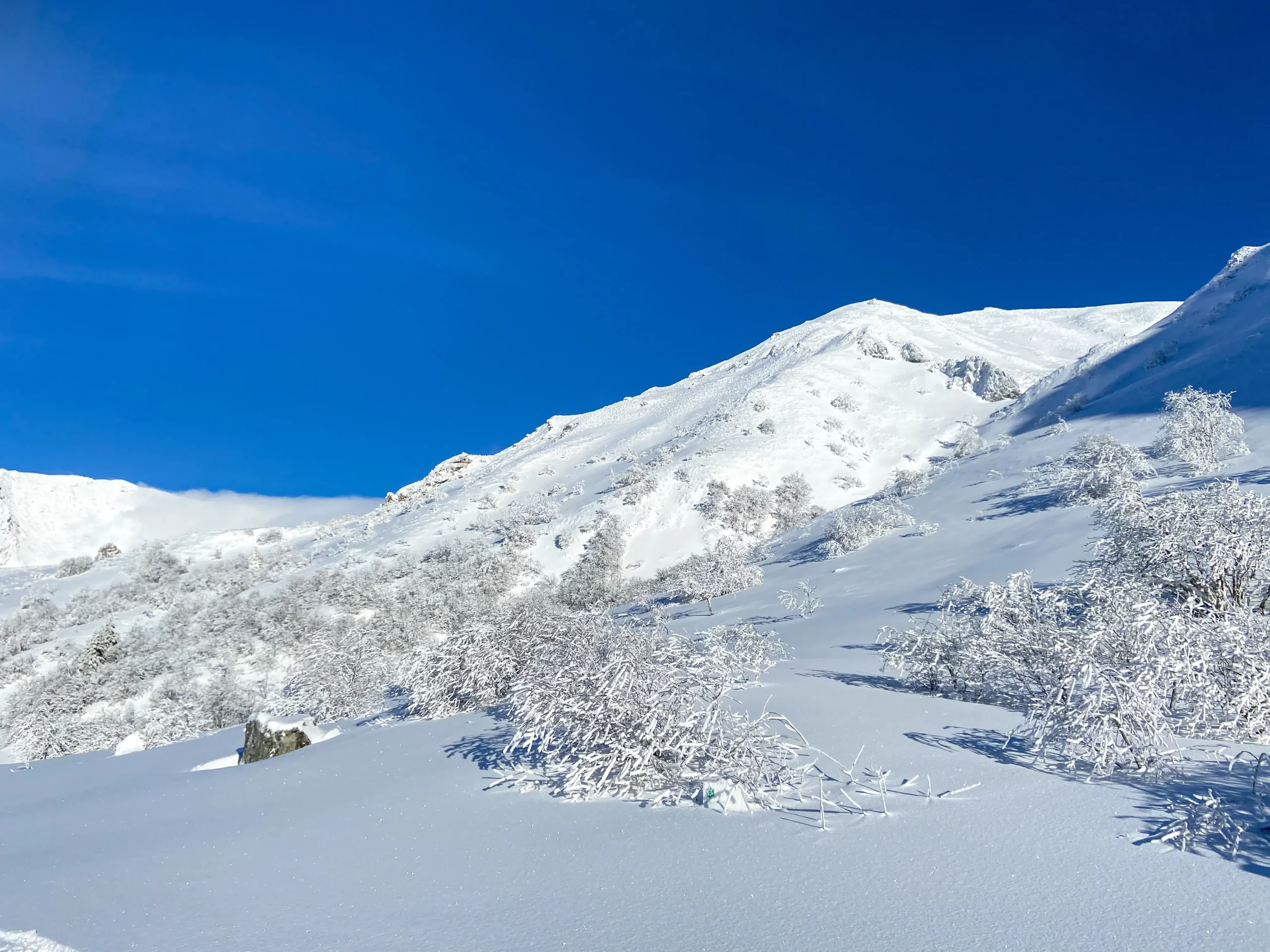 Snow-covered mountain under clear blue sky