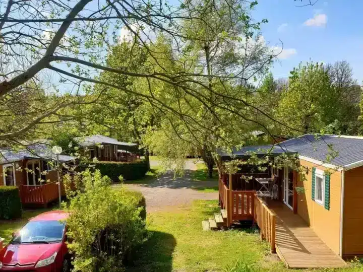 Wooden cabins surrounded by trees and greenery