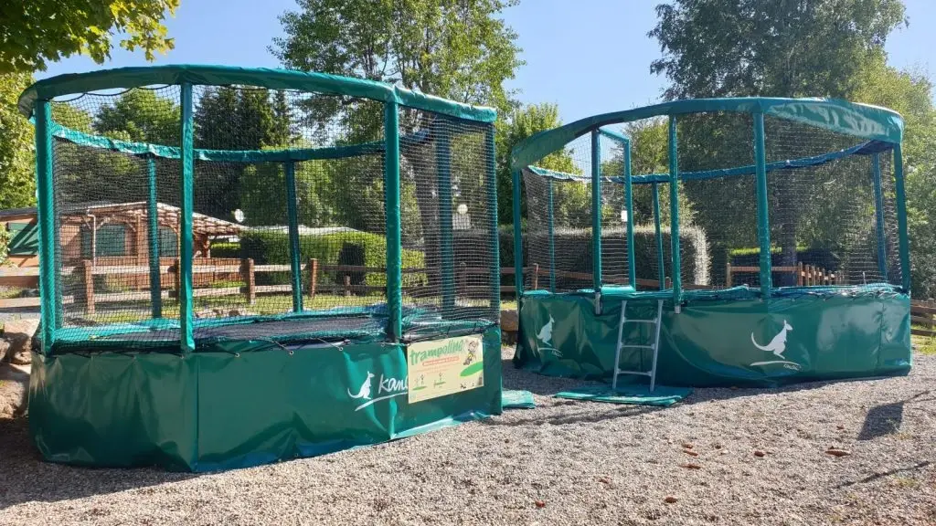 Two enclosed green trampolines in outdoor yard