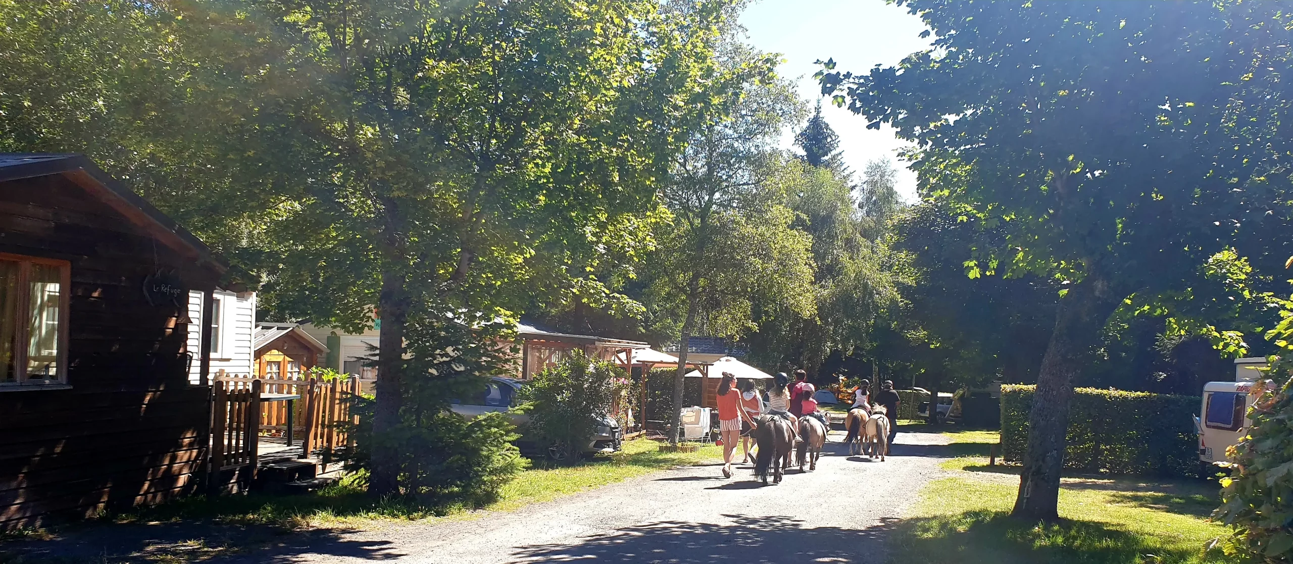 Children riding ponies along sunny campground path