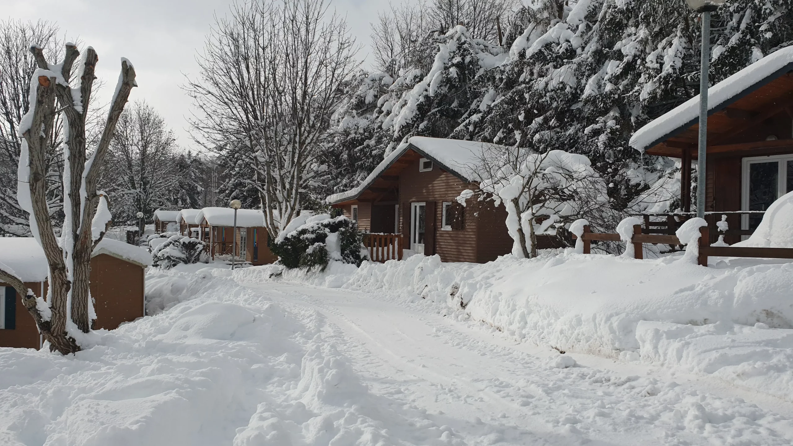 Snow-covered cabins along winter forest path