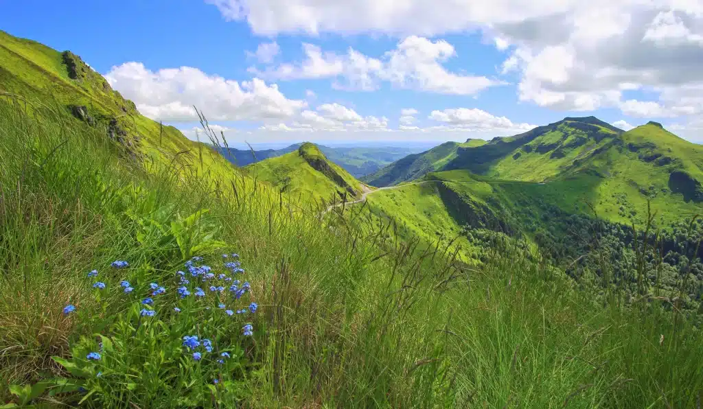 Lush green mountains with winding road and wildflowers