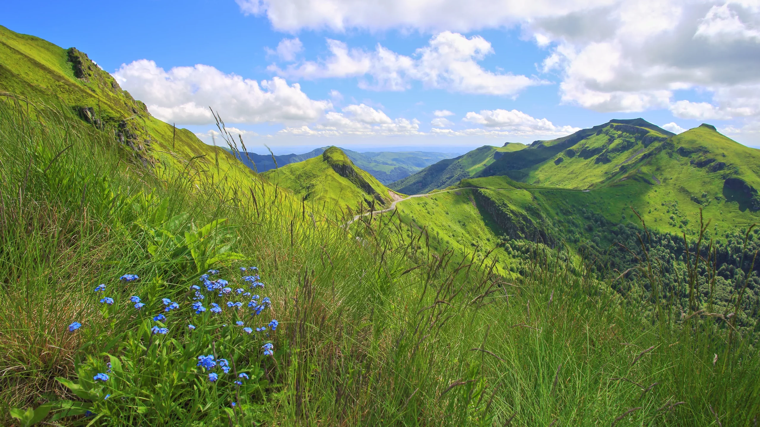 Lush green mountains with winding road and wildflowers